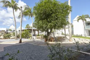 Courtyard by Marriott Aruba Resort - Room
