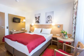 Hotel Diana - Room