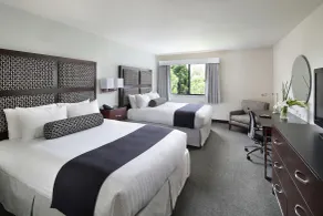 Maple Tree Inn - Chambre