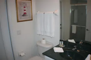 Luxury 4BR Pool Home with Jacuzzi- Inverness - Badeværelse