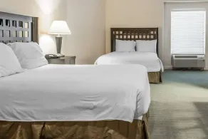 Sunchase Inn & Suites - Chambre