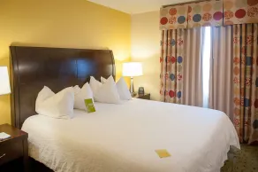 Hilton Garden Inn Pensacola Airport - Medical Center - Chambre