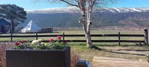 Trollskogen Gård - Ausblick vom Zimmer