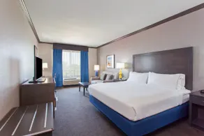 Holiday Inn Express & Suites Wharton by IHG - Rum