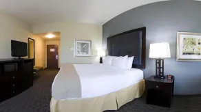 Holiday Inn Express Hotel & Suites Waycross by IHG - Rom