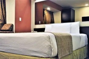 Microtel Inn and Suites by Wyndham Toluca - Camera