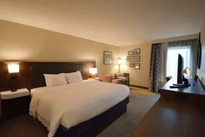 Hampton Inn Salem East - Electric Road - Chambre