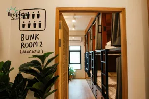 Tropical Summer Hostel - Room