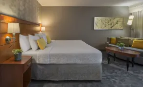 Courtyard Grand Rapids Airport - Chambre