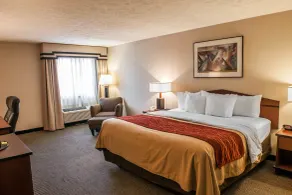 Comfort Inn Indianapolis South I-65 - Chambre