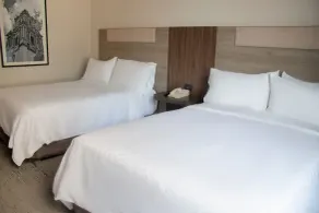 Holiday Inn Express Mexico City Satelite by IHG - Chambre