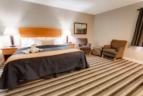 Quality Inn West Edmonton - Room