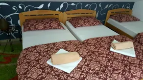 Guesthouse Vladimir & Ana - Room