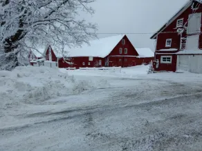 The Buckmaster Inn - Utsikt fra rommet