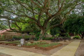 Sirin Farm Chiang Rai - Restaurant