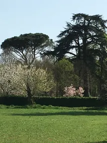 CHATEAU DU GO - Udsigt fra værelset