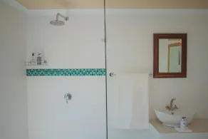 The View Swellendam B&B - Salle de bain
