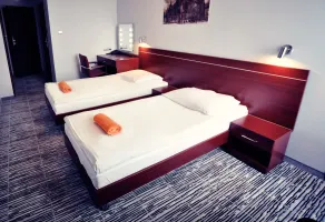 Hotel Śląsk - Room