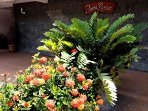 Pousada Pedra Rosa - Interior entrance