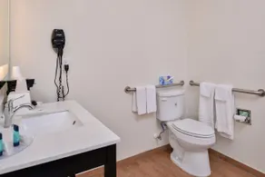 Crystal Inn & Suites IAH Humble - Salle de bain