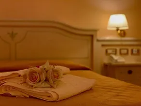 Hotel Firenze - Rum