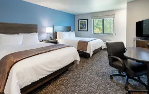 My Place Hotel-Indianapolis Airport/Plainfield, IN - Chambre
