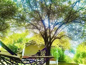 Thihawa Eco Huts Yala - Réception