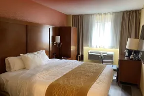 Ramada by Wyndham New York Times Square West - Chambre