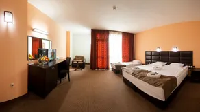 Zdravets SPA Hotel - Room