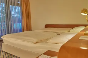 Seehotel am Tankumsee - Room