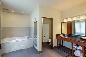 Comfort Suites North Dallas - Salle de bain