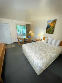 Alger Falls Motel - Rum