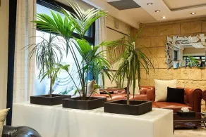 HOTEL COLOMBE - Reception