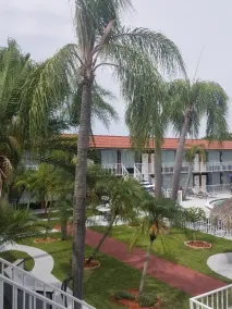 Days Inn by Wyndham Clearwater/Central - Vue de la chambre