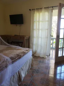 Viva Violas - Room