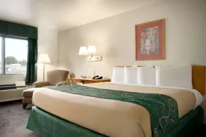 Travelodge by Wyndham Cheyenne - Chambre