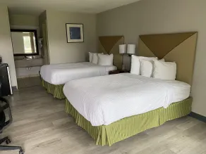 Days Inn by Wyndham Brunswick/St. Simons Area - Chambre