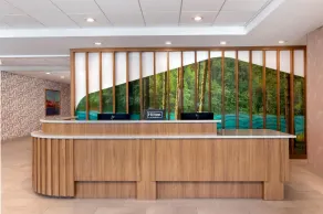 Hampton Inn & Suites Cadillac - Reception