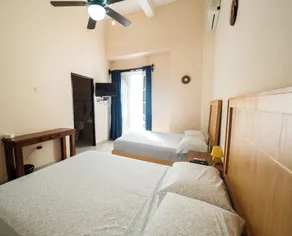 Nido Colibrí - Private Rooms and hostel Dorms in Remate de Paseo Montejo - Room