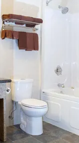 Woodland Motor Inn - Salle de bain
