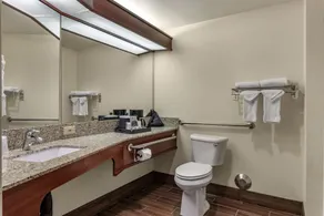 Comfort Inn Troutdale-Portland East - Værelse