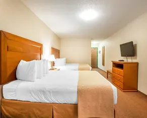 Quality Inn & Suites - Chambre