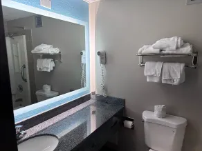 Baymont Inn and Suites by Wyndham Farmington, MO - Badeværelse