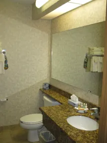 Mineral Palace Hotel & Gaming - Salle de bain