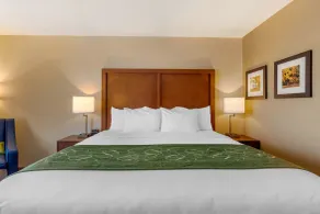 Comfort Inn & Suites Schenectady - Scotia - Chambre