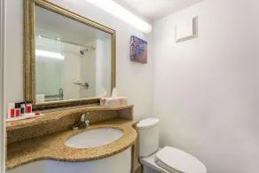 Ramada by Wyndham Virginia Beach - Baño