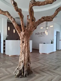 Haven Nature Hotel & Villas - Reception
