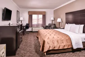 Quality Inn & Suites Beaumont - Chambre