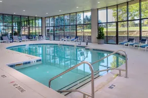 Hilton St. Louis Airport - Piscine
