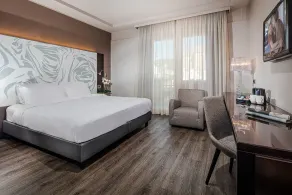Hotel Franz - Room